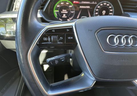 Audi e-tron 55 Quattro  Panorama HUD