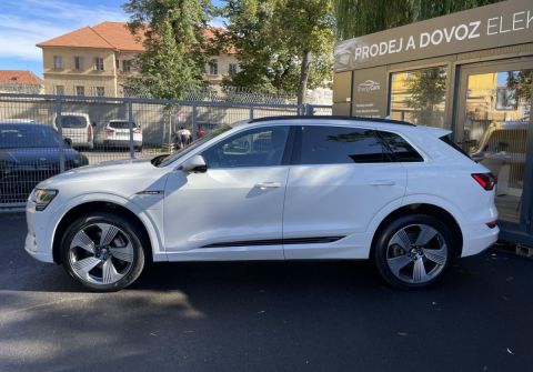 Audi e-tron 55 Quattro  Panorama HUD