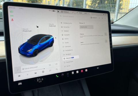 Tesla Model Y Performance